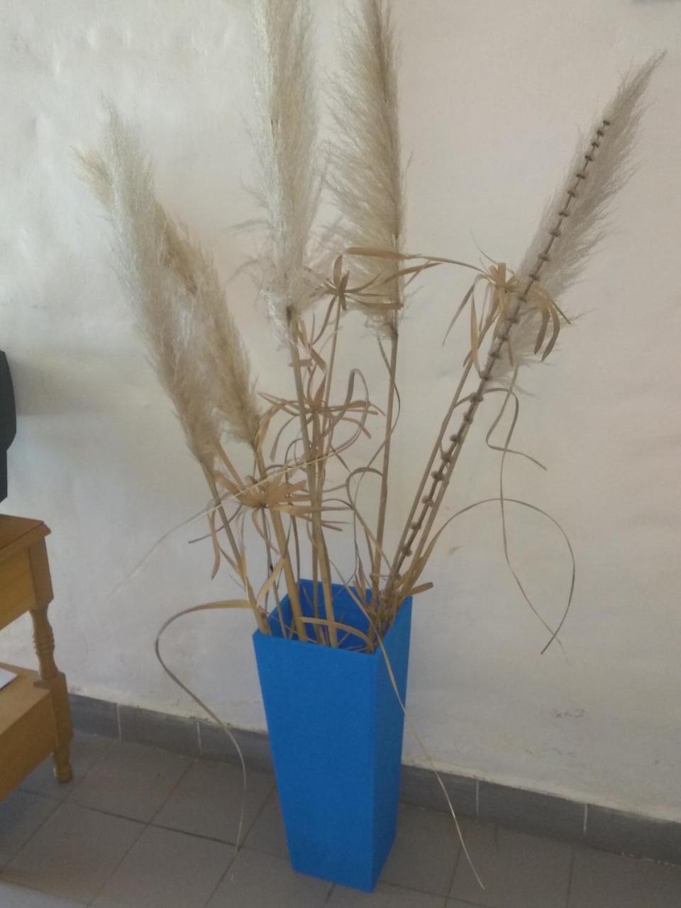 Apartamento Complejo Viejo Sulky Mina Clavero Exterior foto